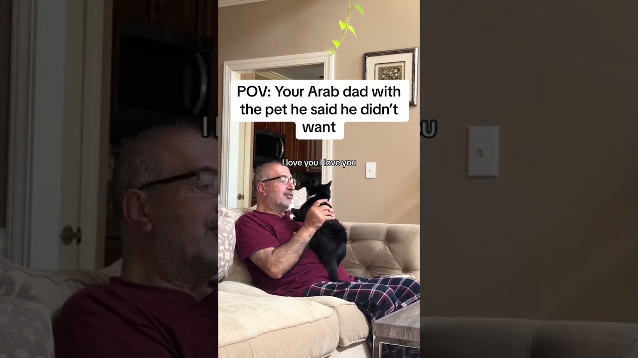 When your dad hates cats 