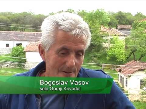 NAŠA SELA, GORNJI KRIVODOL