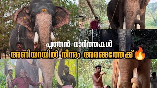 Elephant News In Kerala Elephant News Malayalam 30122025