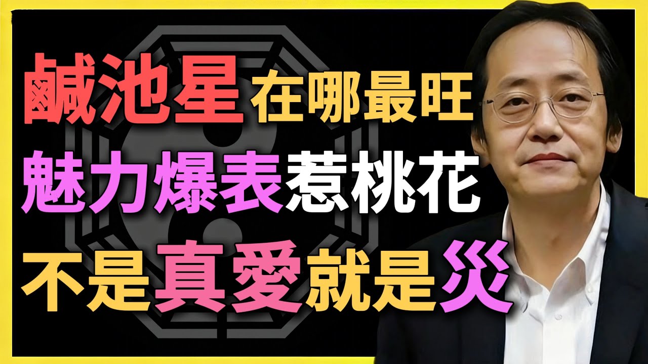 鹹池星在哪最旺？魅力爆表惹桃花，不是真愛就是災，小心爛桃花！#鹹池星 #紫微鬥數 #倪海廈 #桃花運 #爛桃花 #命理分析 #夫妻宮 #感情運勢 #婚姻運勢 #桃花星 #貪狼星 #2025運勢