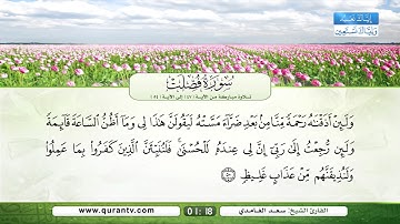 سورة فصلت | تلاوة مباركة من الآية 47 إلى الآية 54 | بصوت القارئ الشيخ سعد الغامدي