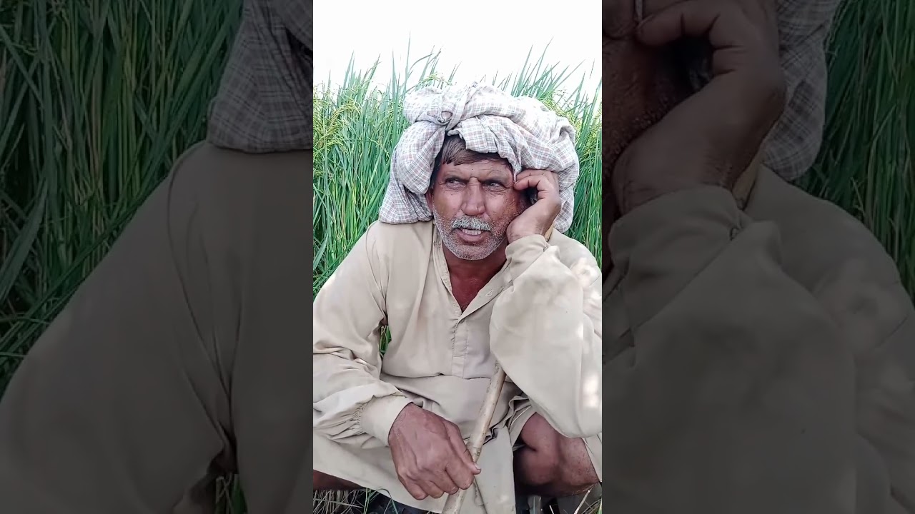 ڈھولے منڈی دیے