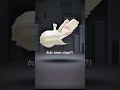 join @IyzRkun-f2i // #bismillahviewersnaik #roblox #4urpage #likeandsubsribe #bismillahfyp