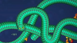 Kill the python snake🐍 Biggest python kill in one bullet for my new snake🐍🐍🐍