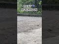 Peaceful Daytime Rain & Thunder 🌧️ Cozy Rain Sounds for Relaxation #shorts