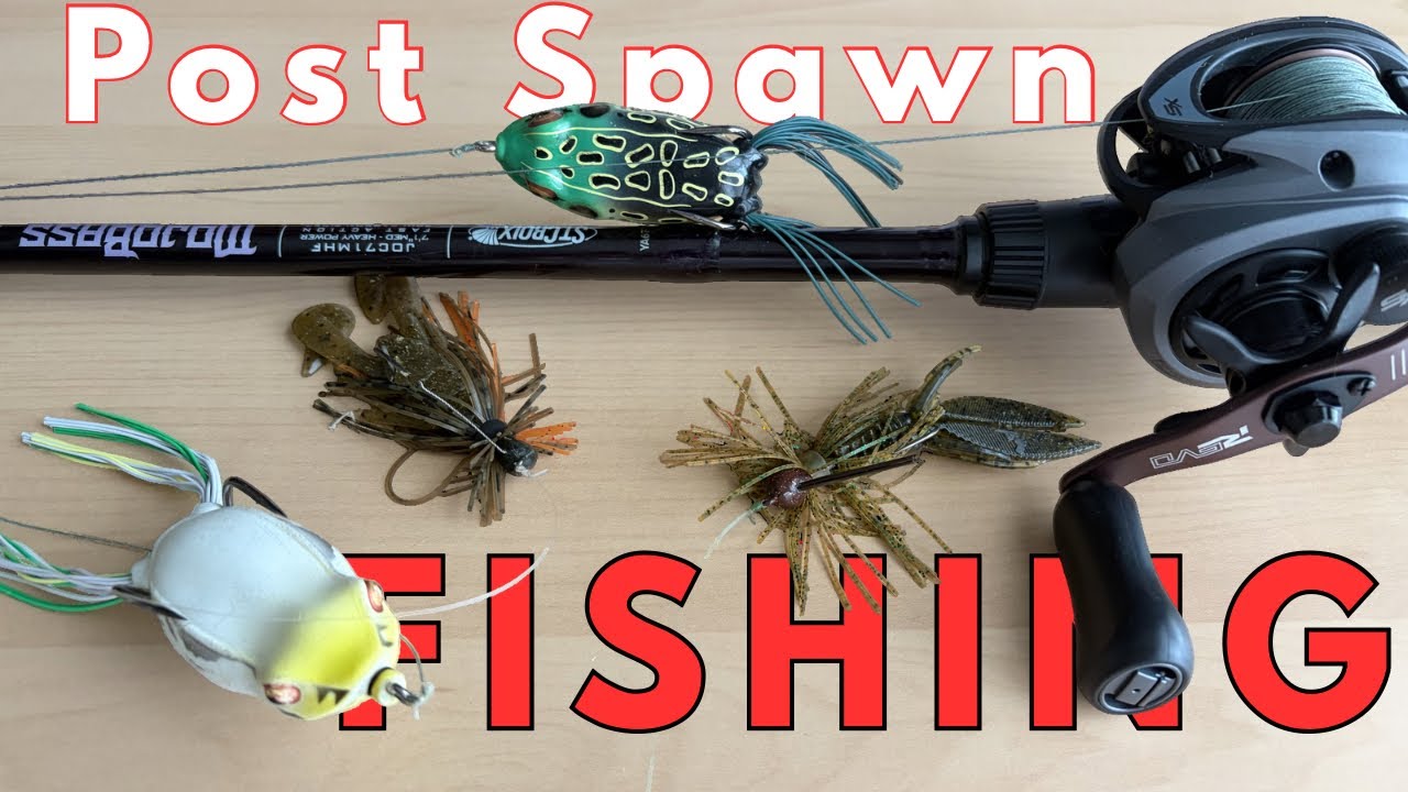 Post spawn bass fishing! Frogging and finesse jigs