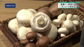 ［深掘り！］原宿の定番アイテムはキノコ!?