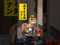待たされる犬 #柴犬スティーブ