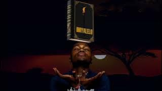 Nomndayi Ngike ngathanda (Visualiser)