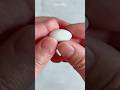 This Is WHO Hatched From THIS Egg Shorts