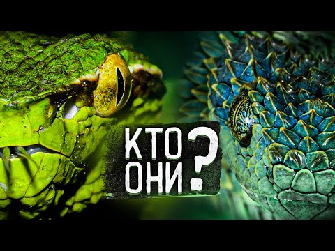 Video: 43 Prehistorické fakty o Jurassic Parku