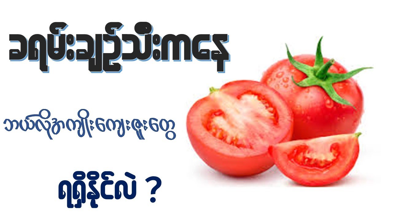 ခရမ်းချဉ်သီး ရဲ့အကျိုးအာနိသင် အမျိုး ( ၂၀ )  I  Health Benefits of Tomato