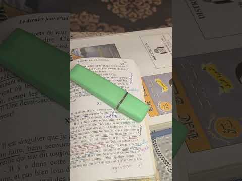1bac le dernier jour d' un condamné chapitre 40 et 41 قراءة جميع الفصول + les figures de style