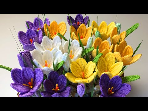 Video: Crocus Flower Care: Wie man Krokus anbaut