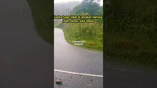 Hujan Lebat Menguyur Tanjakan Bahung Danau Siais viral tapsel sumaterautara