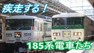 【爆音で疾走する！】185系特急型電車たち