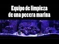 Equipo de limpieza de una pecera marina