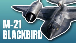 M-21 Blackbird | Curator on the Loose!