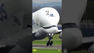 Which Engine Sound Is Real?