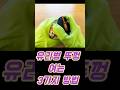 유리병 뚜껑 여는 3가지 방법. #유리병 , #유리병열기, #유리병열기꿀팁, #유리병뚜껑안열릴때,  #꿀팁