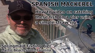 How to Catch Spanish Mackerel off of a Pier using a simple straw rig.  Springmaid Pier Myrtle Beach 