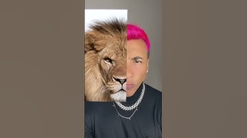 animal face filter video #filter #youtubeshorts #animalface #trending #viral #shorts #shortvideo