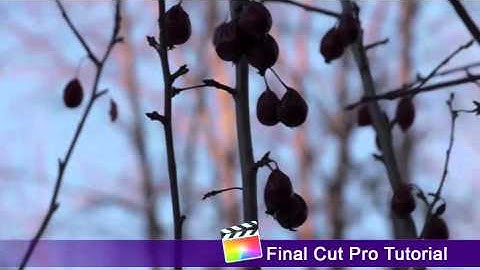 Final Cut Pro Tutorial Part1 2The Layout