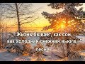 &quot;Жизнь бывает, как сон..&quot; песня, исп.Шинкарева Светлана