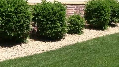 Spring HOA Property Inspection | Cities Management A SenEarthCo Property Management Company