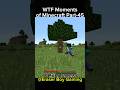 Minecraft WTF Moments Part-45 #indiangamer #hindigameplay #minecraftfunny #funny