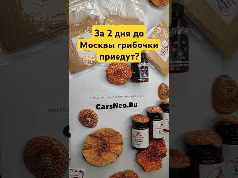 За 2 дня до Москвы грибочки приедут? #мухоморныймикродозинг #гребенчатый