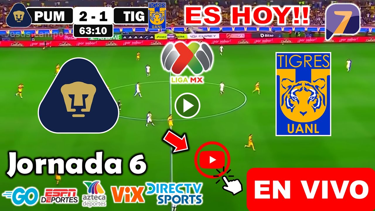 Pumas vs. Tigres en vivo, donde ver, a que hora juega Pumas vs. Tigres ...