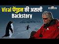 Antarctica का अकेला Penguin क्यों चल रहा है? 🐧