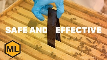 Natural Mite Control with HopGuard – Safe Beekeeping Practices