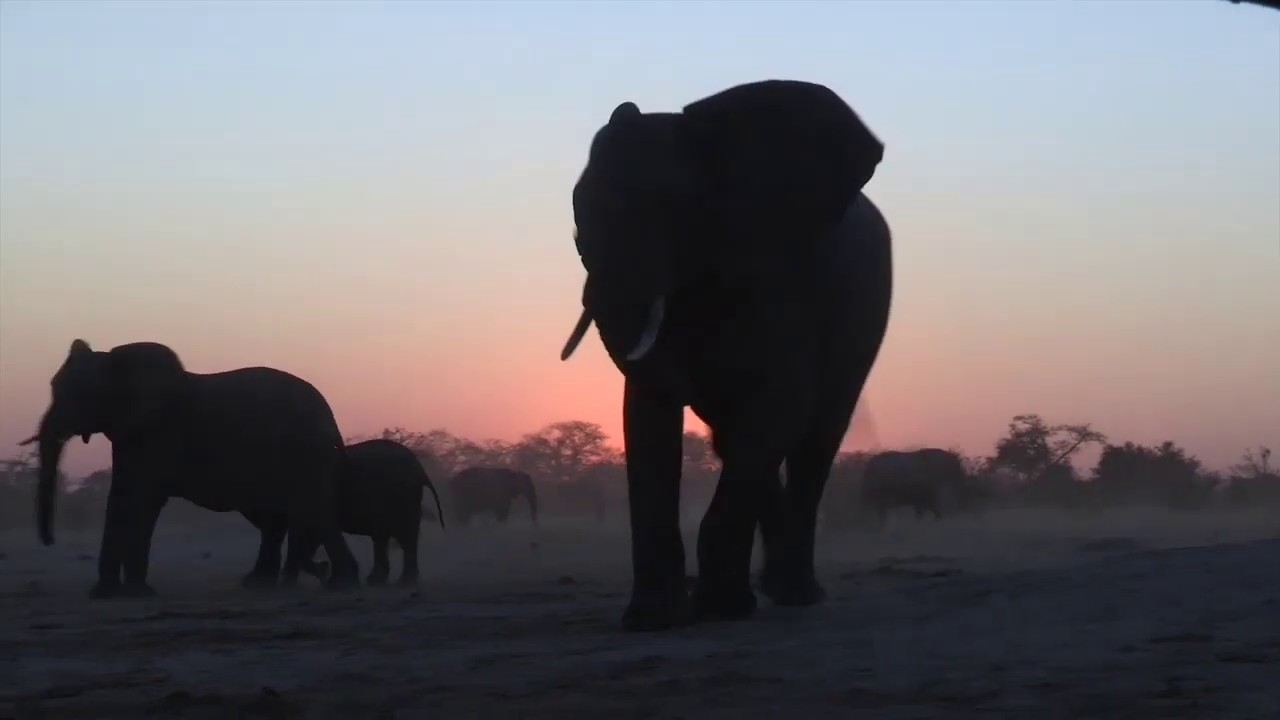 Jozibanini Camp | Zimbabwe | Expert Africa