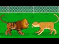 LIGER VS TIGON ANIMATION