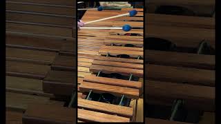 Lost Girl from Deltarune Chapter 2 for solo marimba