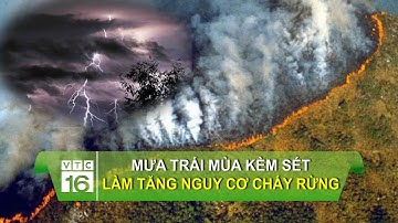 Mưa trái mùa kèm sét làm tăng nguy cơ cháy rừng | VTC16