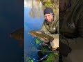 Fette Schleie am Haken #angeln #shorts #fishingvideo #fischen