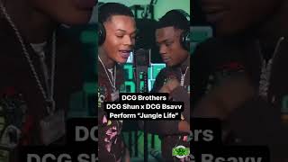 DCG Brothers Body “Jungle Life” On The Radar Performance