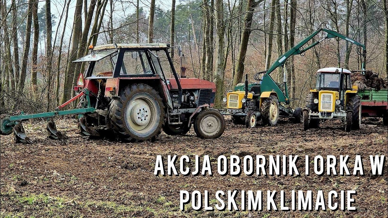 😀2024🫠Coś pieknego trzy ursusy na jednym polu 🤩akcja obornik i orka 💩😅