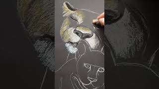Мама Львят ❤️🦁 #Shortvideo #Art #Artist #Painting #Художник  #Portrait #Oilpastel #Animals #Shorts