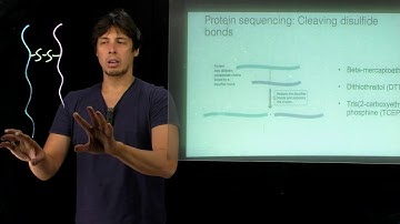 Topic 4.12 - Disulfide reduction