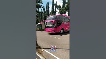 Jetbus 5 #basuriv3 #busmania #rianmahendrabelibus #automobile #shorts #viralvideo #trending #fyp