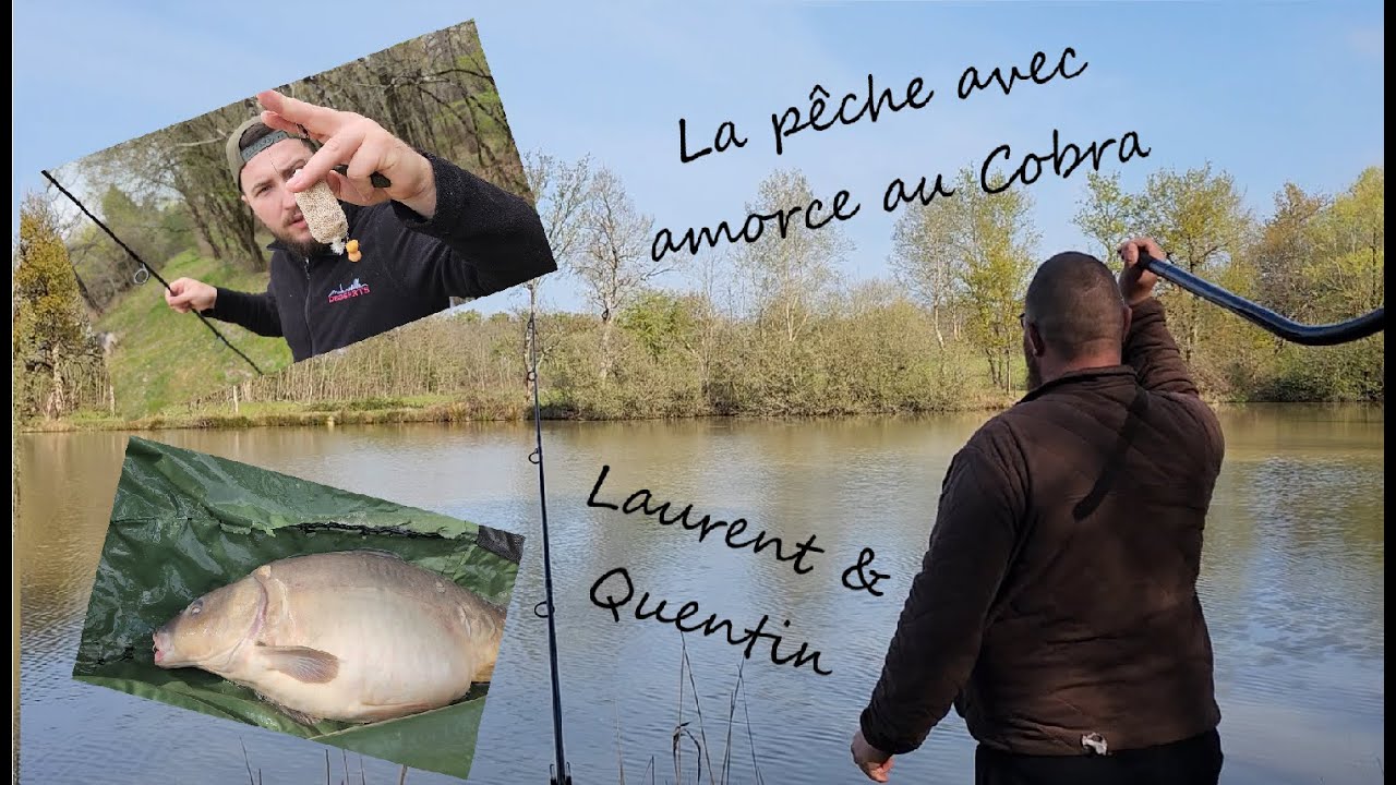 Lot De 11 Lance-bouillettes Amiaud CARP O Aluminium - Pêche à La Carpe (neuf)