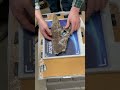 DINOSAUR x ray! We are scanning the skulls to see if their unique imp