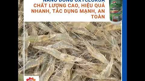 Nano Đồng Oxyclorua Haki  – Diệt nấm khó trong ao, tảo, rêu – chai 500ml