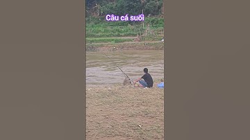 Câu cá suối#fishing #cauca