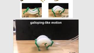 Inspired By Cheetahs, Researchers Build Fastest Soft Robots Yet