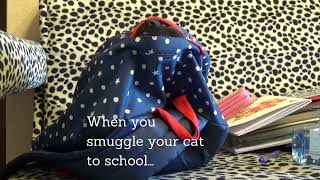 When You Successfully Smuggle Your Cat To School...